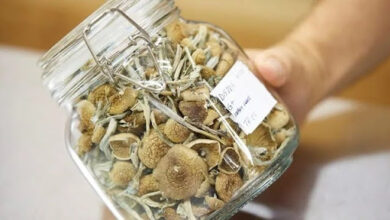 Psilocybin Contraindications