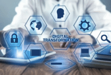 Digital Transformation in the Public Sector