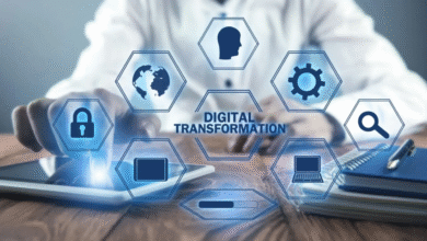 Digital Transformation in the Public Sector