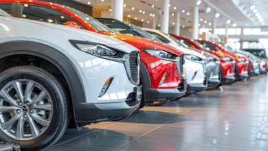 Luxury Car Rental Business 