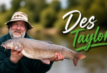 Des Taylor