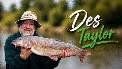 Des Taylor